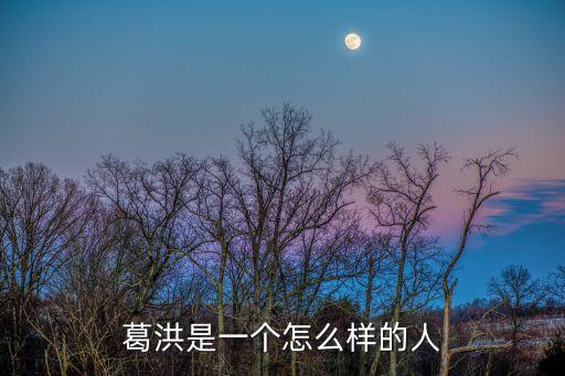 葛洪，著名道教人物葛洪有
