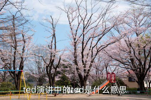 英語ted演講，求TED演講資源 最好是百度網盤的 最近幾年的越多越好 中英雙字幕