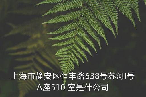 上海市靜安區(qū)恒豐路638號蘇河I號A座510 室是什公司
