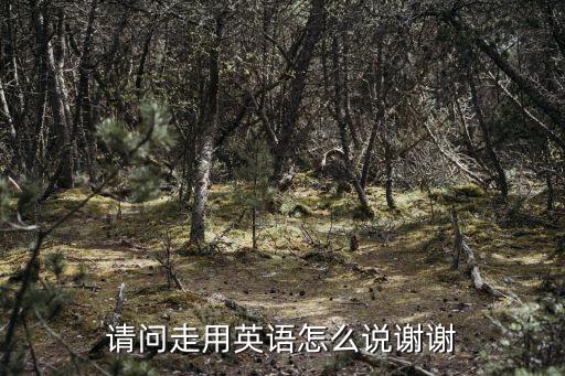 請問走用英語怎么說謝謝