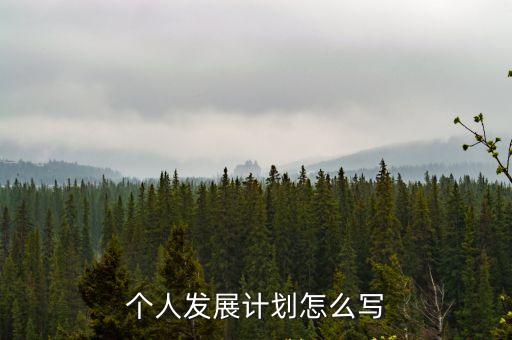 個人發(fā)展計劃怎么寫