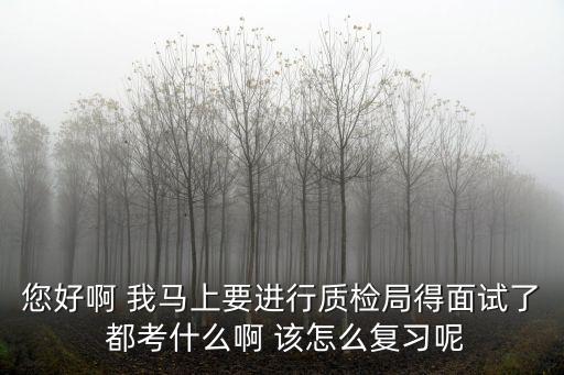您好啊 我馬上要進行質檢局得面試了 都考什么啊 該怎么復習呢