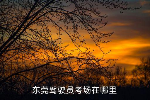 東莞科目二去哪里考，東莞市路考地點在哪里