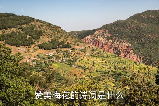 贊美梅花的詩詞是什么
