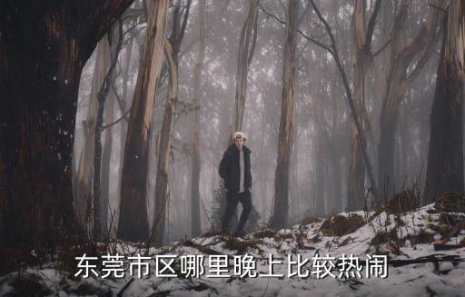 東莞南城晚上哪里好玩的地方，東莞南城有什么地方好玩的啊