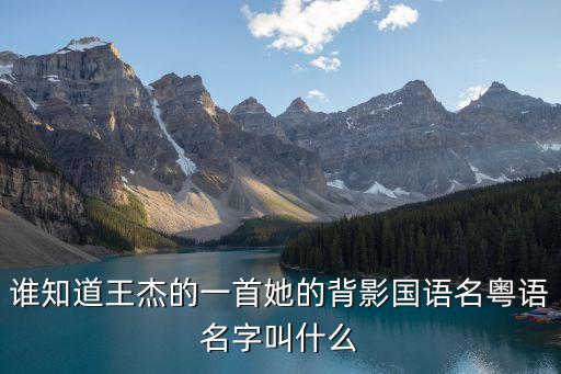 誰知道王杰的一首她的背影國(guó)語名粵語名字叫什么
