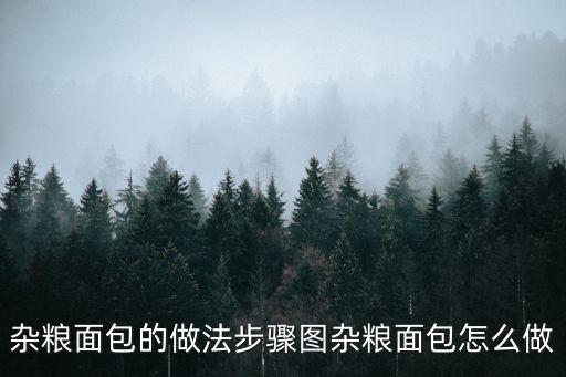 雜糧面包的做法步驟圖雜糧面包怎么做