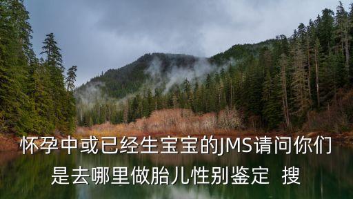 懷孕中或已經生寶寶的JMS請問你們是去哪里做胎兒性別鑒定  搜