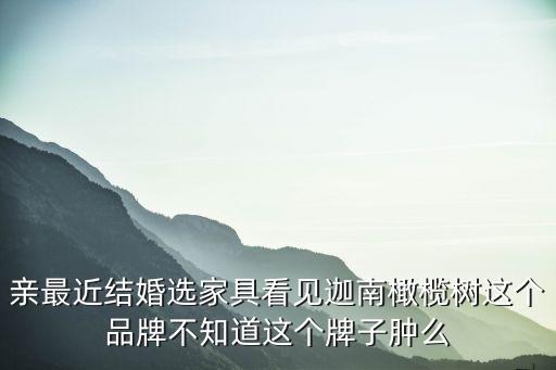親最近結(jié)婚選家具看見迦南橄欖樹這個品牌不知道這個牌子腫么