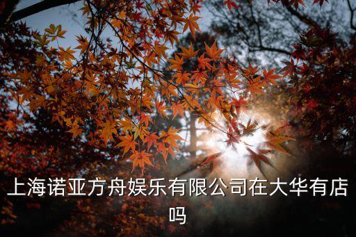 上海諾亞方舟娛樂有限公司在大華有店嗎