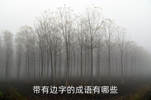 邊字成語，有邊字的成語