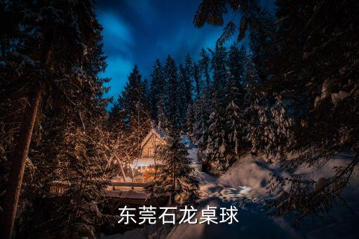 東莞石龍桌球