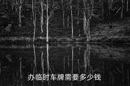 辦臨時車牌需要多少錢