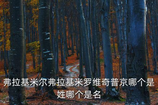 弗拉基米羅維奇，弗拉基米爾弗拉基米羅維奇普京
