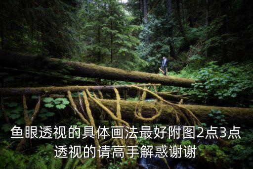 魚眼透視的具體畫法最好附圖2點3點透視的請高手解惑謝謝