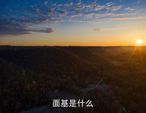 什么是基友，面基是什么