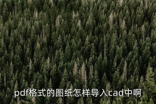 pdf格式的圖紙怎樣導入cad中啊