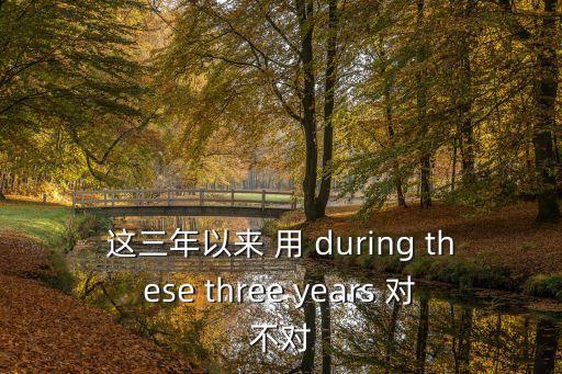 這三年，during the three years什么意思