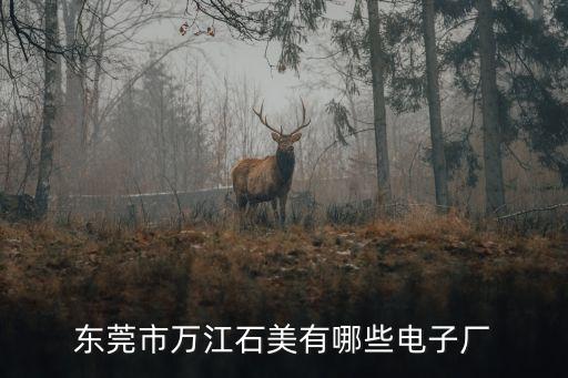 東莞市萬江石美有哪些電子廠