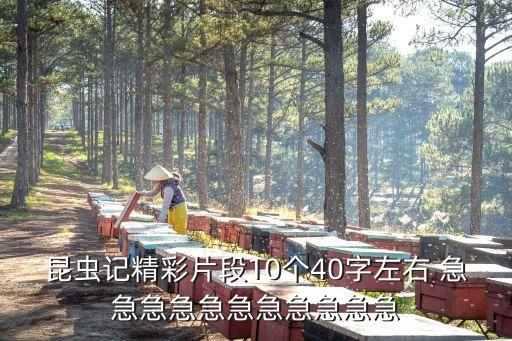 昆蟲記精彩片段10個(gè)40字左右 急急急急急急急急急急急