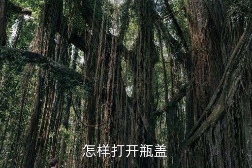怎么開瓶蓋，怎樣打開瓶蓋