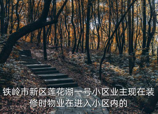 鐵嶺市新區蓮花湖一號小區業主現在裝修時物業在進入小區內的
