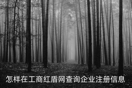 東莞紅盾網(wǎng)查詢營業(yè)執(zhí)照查詢，怎樣在工商紅盾網(wǎng)查詢企業(yè)注冊信息
