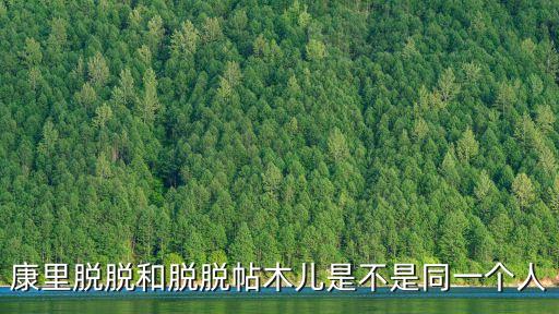 康里脫脫和脫脫帖木兒是不是同一個人