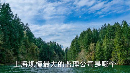 上海規(guī)模最大的監(jiān)理公司是哪個(gè)