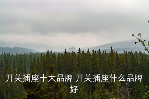 插座排名，開關插座質量排名