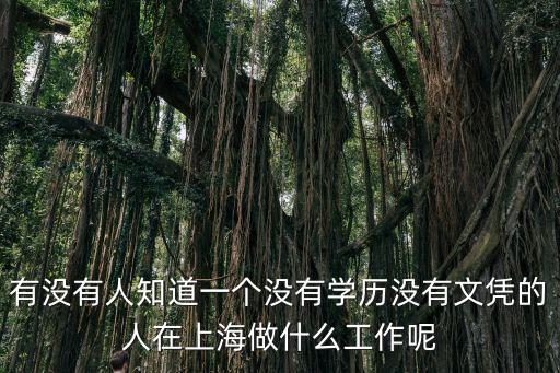 有沒有人知道一個沒有學歷沒有文憑的人在上海做什么工作呢