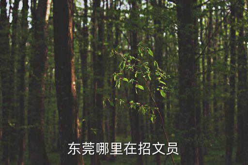 東莞哪里在招文員