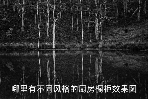 廚房櫥柜效果圖，哪里有不同風格的廚房櫥柜效果圖