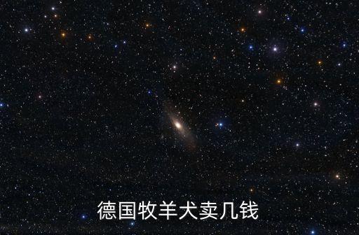 德國牧羊犬賣幾錢