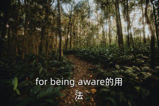 for being aware的用法