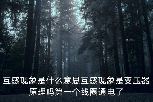 互感現(xiàn)象，什么叫互感現(xiàn)象其原理是什么