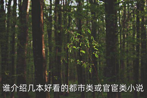 誰介紹幾本好看的都市類或官宦類小說