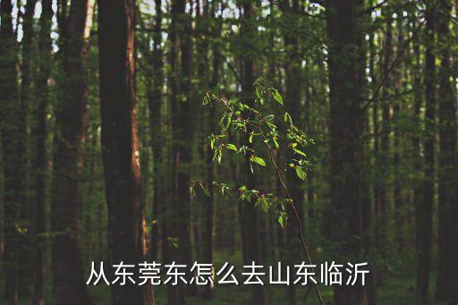 從東莞東怎么去山東臨沂