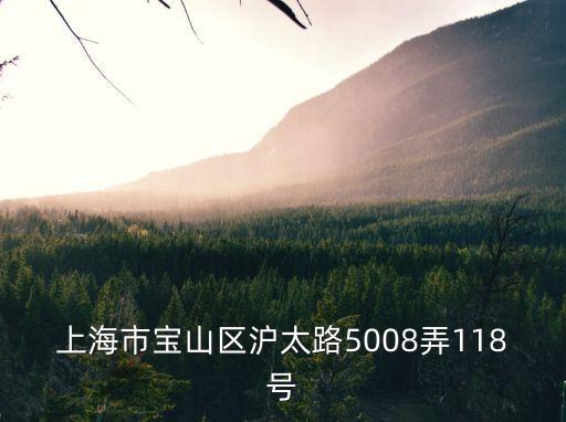 上海市寶山區(qū)滬太路5008弄118號