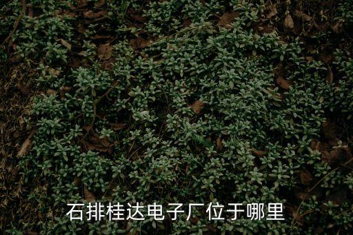 東莞市石排沙角恒達(dá)廠，石排桂達(dá)電子廠位于哪里