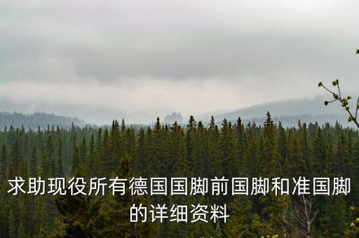 德國國腳，切爾西的德國國腳是誰