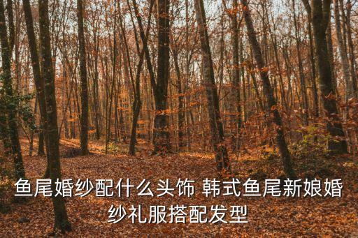 魚尾禮服，想訂做件魚尾拖的禮服有誰介紹下