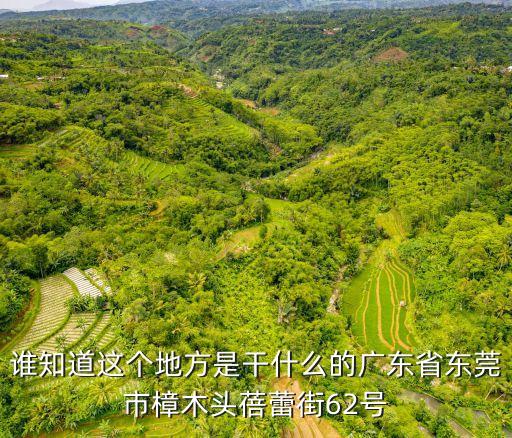 東莞三星韓松做什么的，我要知道東莞三星視界是做什么的 待遇怎么樣