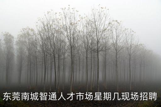東莞南城智通人才市場(chǎng)星期幾現(xiàn)場(chǎng)招聘