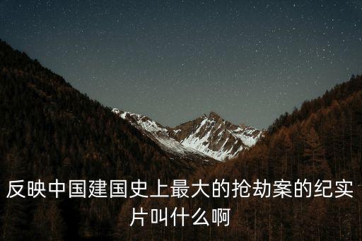 反映中國建國史上最大的搶劫案的紀實片叫什么啊
