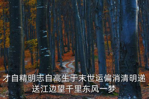 才自精明志自高，才自精明志自高生于末世運偏消清明遞送江邊望千里東風一夢