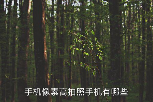 手機像素高拍照手機有哪些