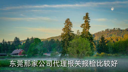 東莞清關代理公司嗎，東莞那家公司代理報關報檢比較好