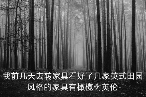 我前幾天去轉(zhuǎn)家具看好了幾家英式田園風(fēng)格的家具有橄欖樹英倫
