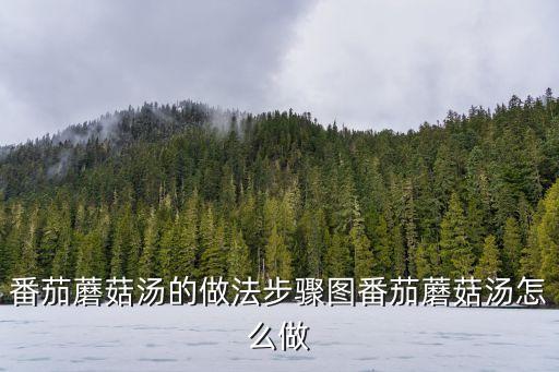 西紅柿蘑菇湯，西紅柿菌類湯怎么做
